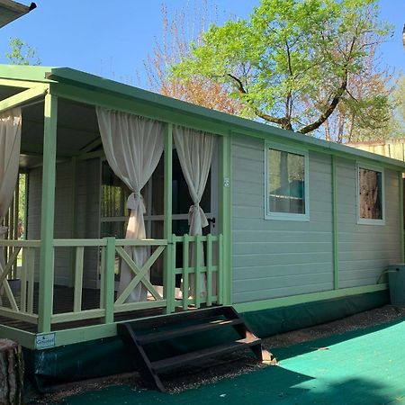 Camping Dal Pino Marina di Massa Exteriör bild