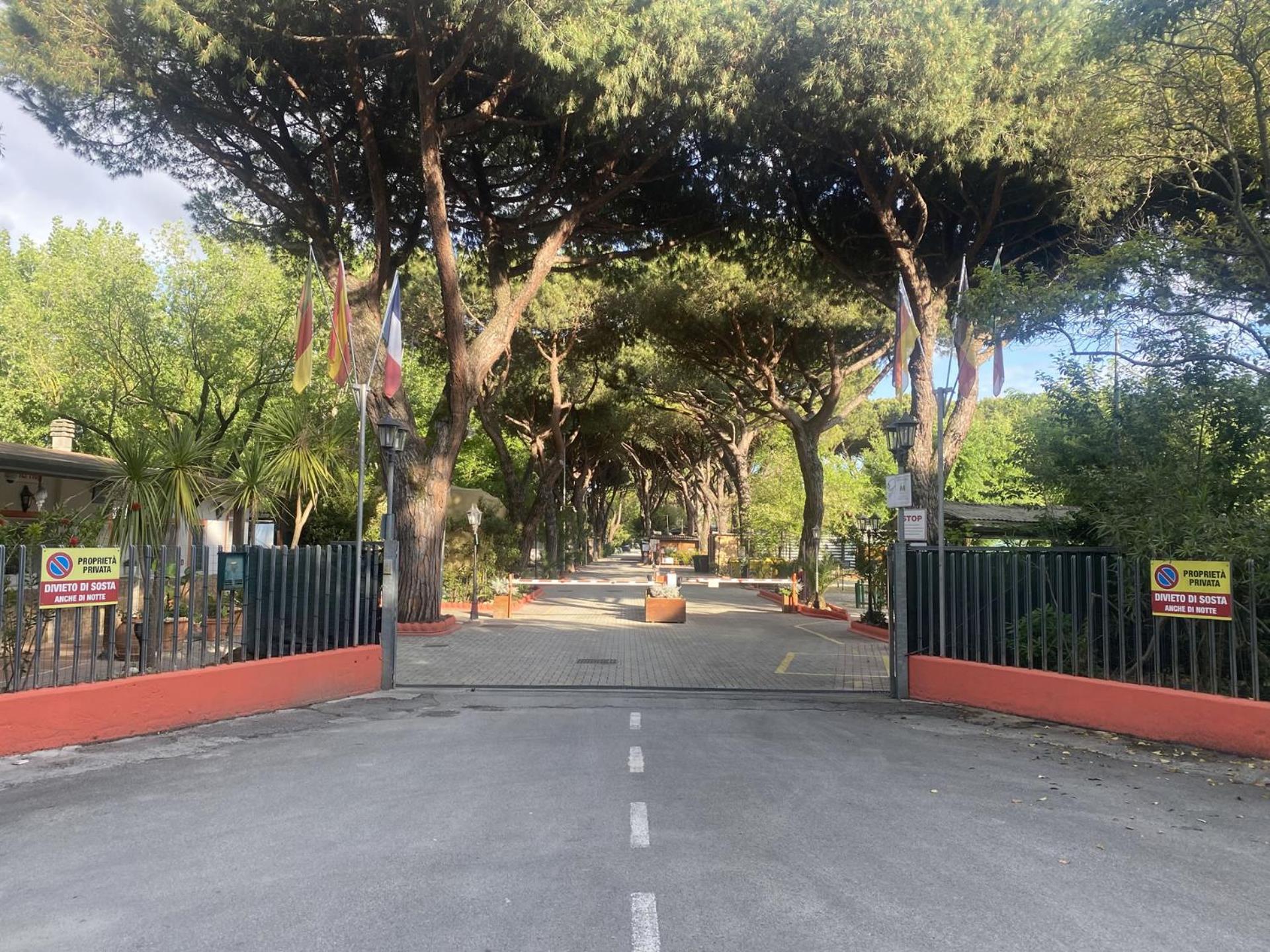 Camping Dal Pino Marina di Massa Exteriör bild