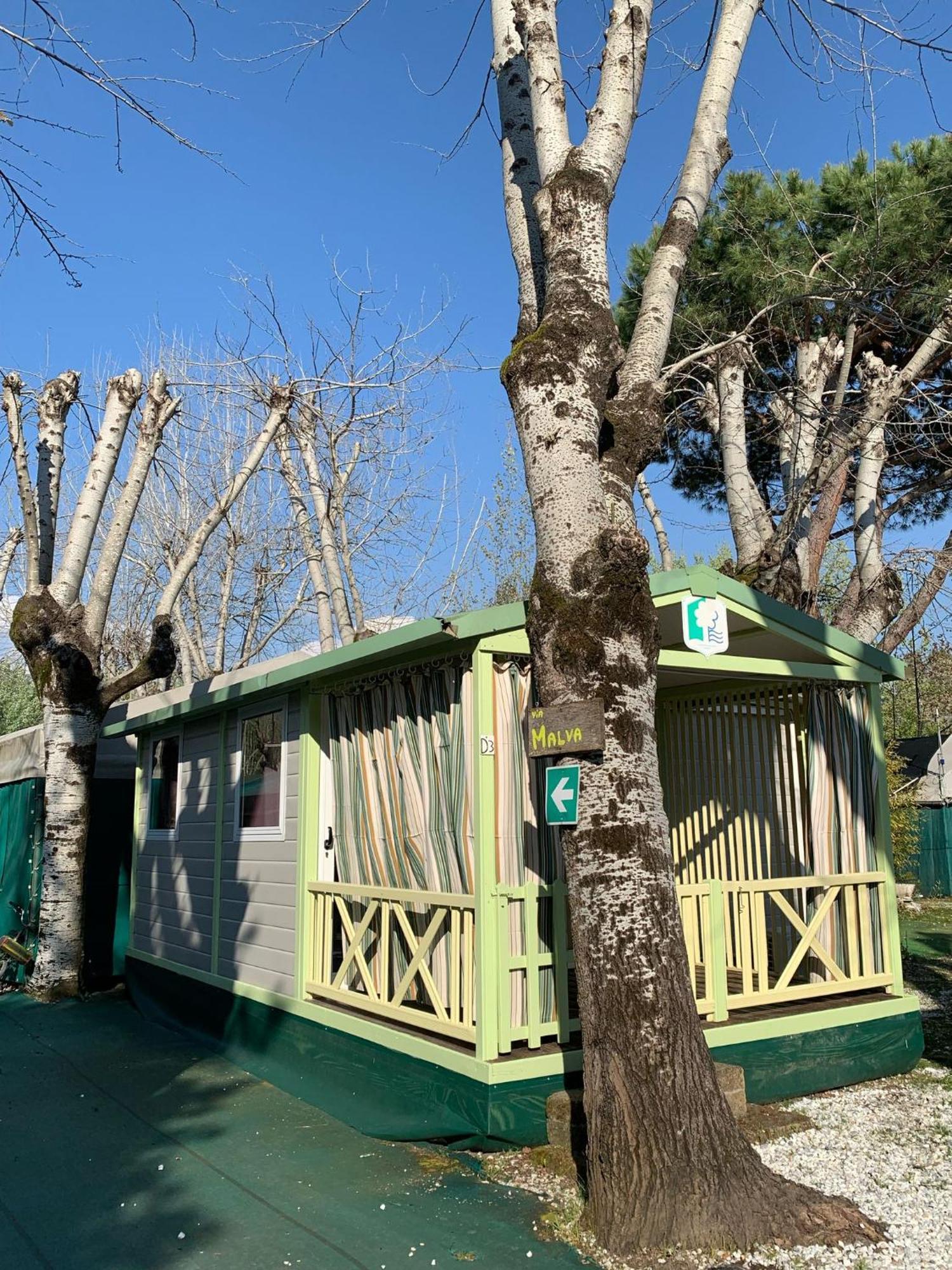Camping Dal Pino Marina di Massa Exteriör bild