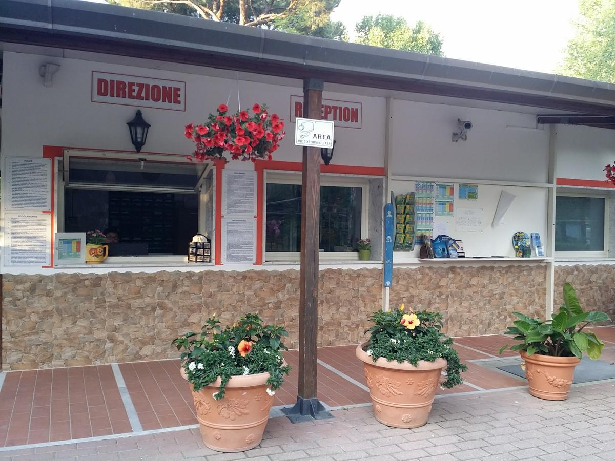 Camping Dal Pino Marina di Massa Exteriör bild