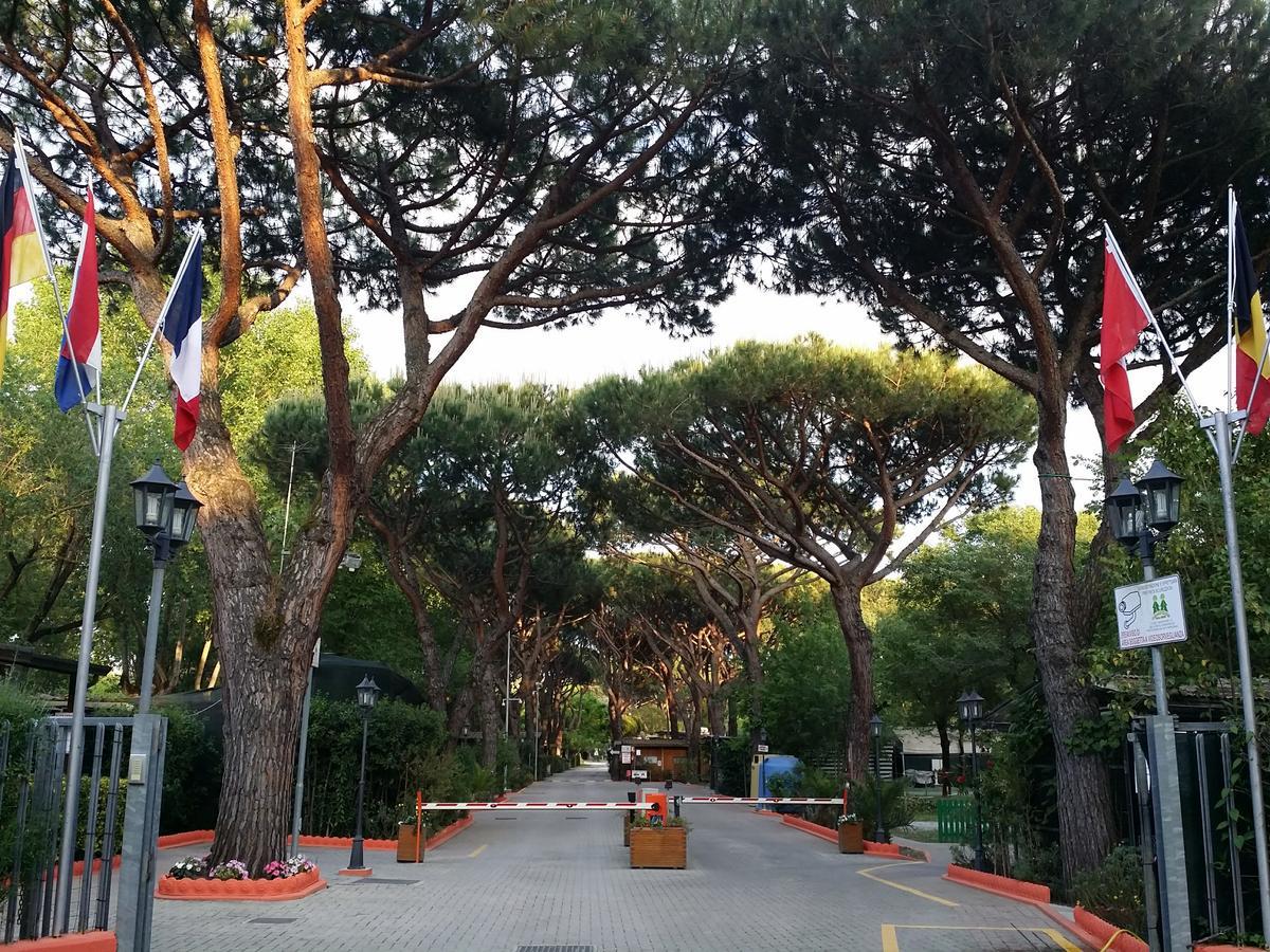 Camping Dal Pino Marina di Massa Exteriör bild
