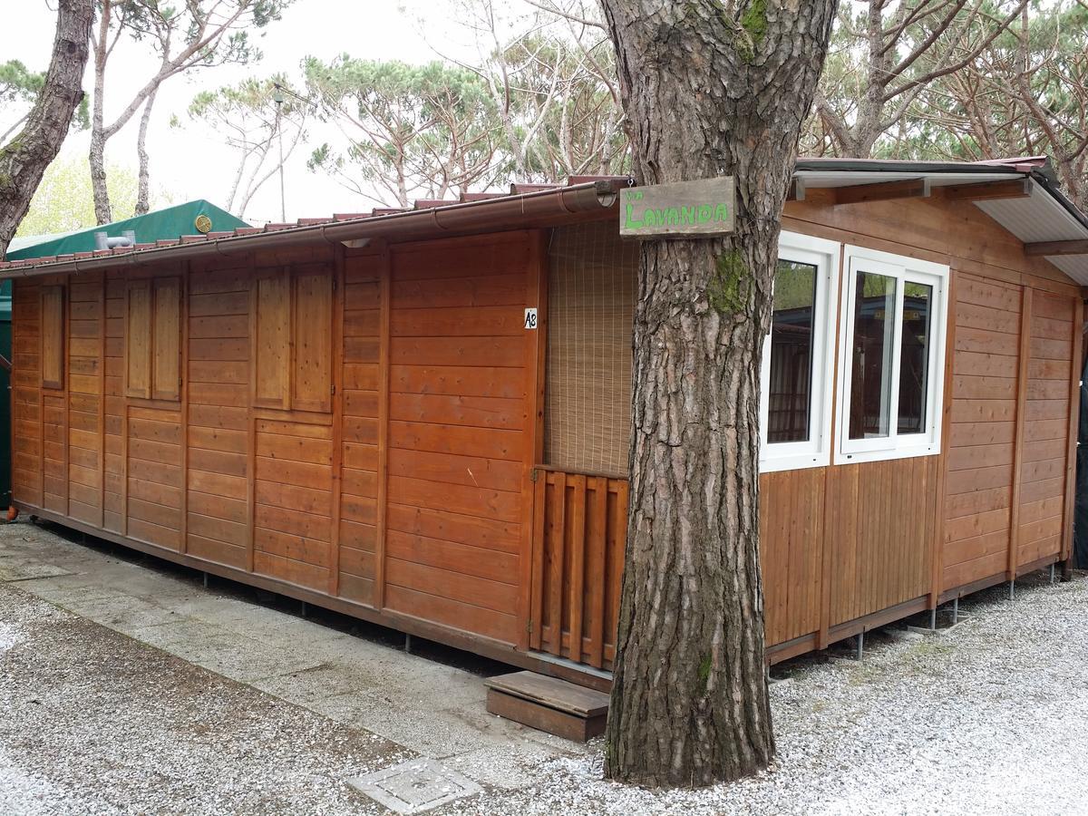 Camping Dal Pino Marina di Massa Exteriör bild
